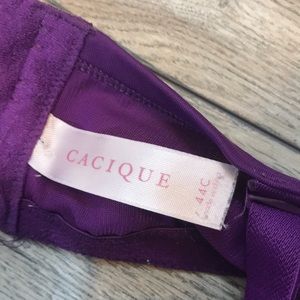 Cacique Intimates & Sleepwear - Cacique 44C Purple underwire bra Cacique Intimates & Sleepwear - Cacique 44C Purple underwire bra